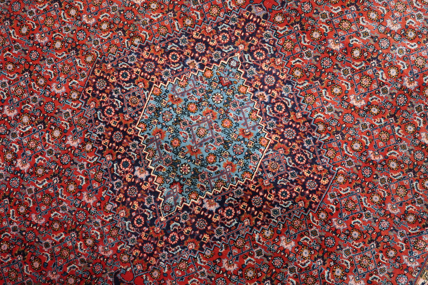Corner spandrels of an antique Bidjar carpet, mirroring the light blue tones of the medallion to create harmonious balance.

