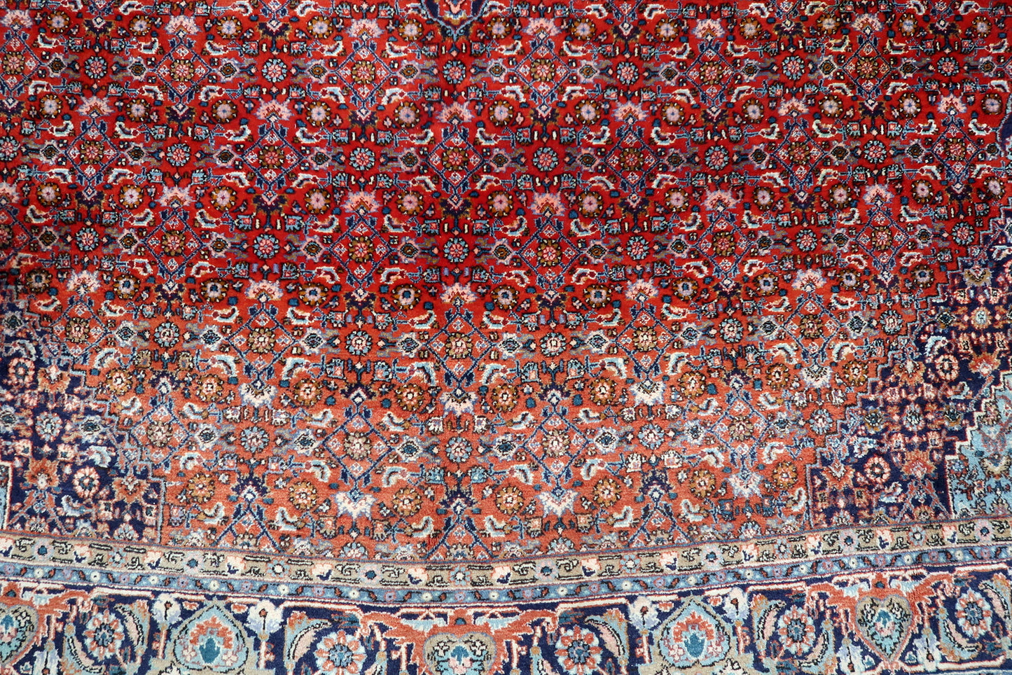 Example of soft "abrash" (natural color variation) and gentle fading on a century-old Bidjar rug, giving it a soulful patina.

