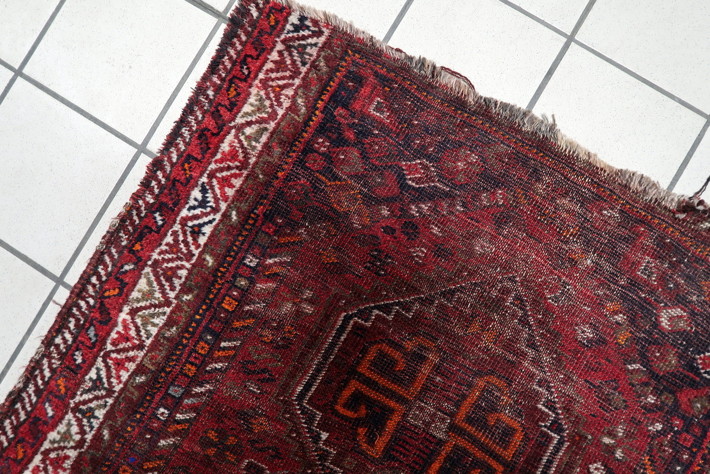 Handmade antique Shiraz carpet circa 1900s, showcasing a densely packed field of smaller nomadic ornaments, stars, and protective "eye" motifs.

