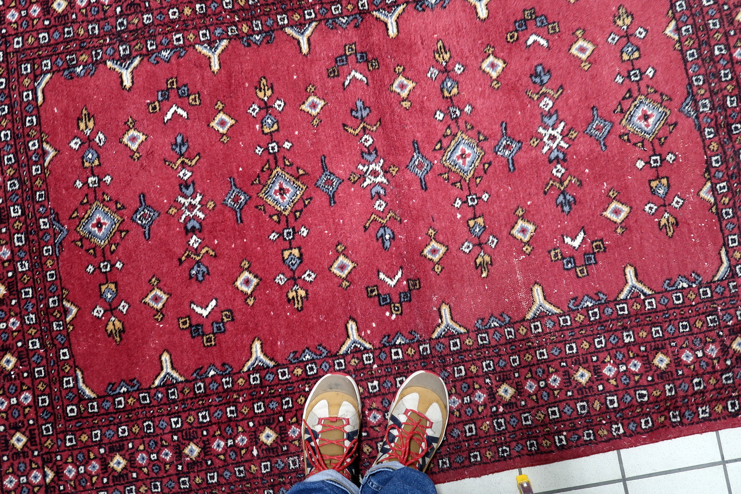 Uzbek tribal rug with vibrant red field enriched by multiple borders of repeating ornamental elements