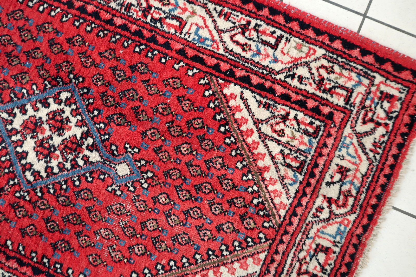 Indian Seraband rug close-up, showing fine wool texture and detailed knotting