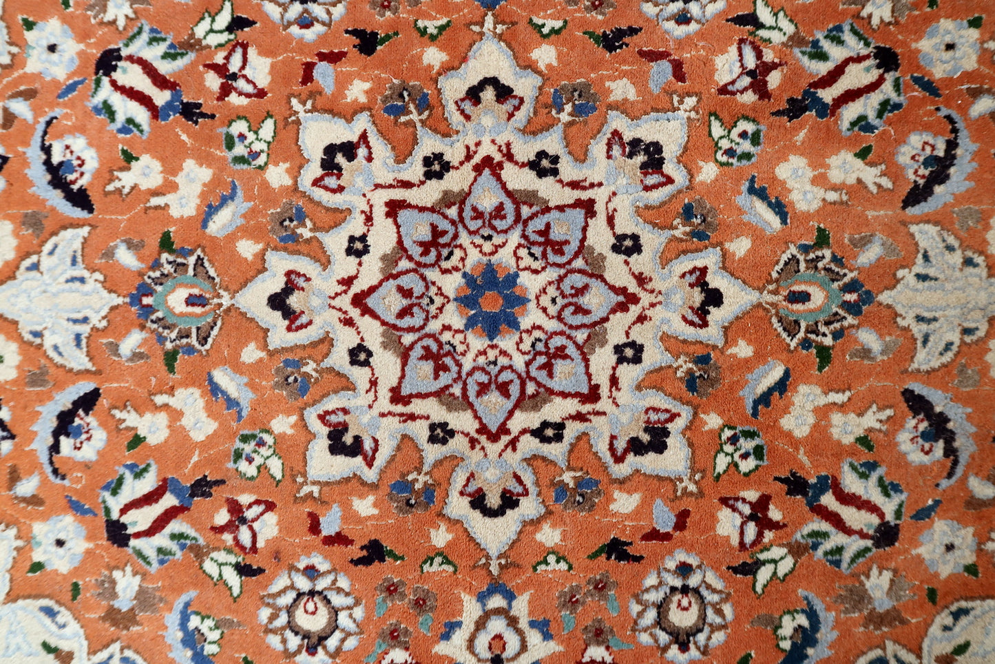 Vintage Persian Tabriz rug detail, floral motifs with silk highlights for luster