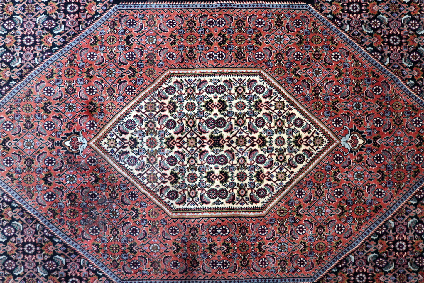 Authentic 1950s Persian Bidjar rug, known as an "iron rug," with a deep red and navy color palette, multicolored accents, and a natural aged patina that enhances its vintage character.

