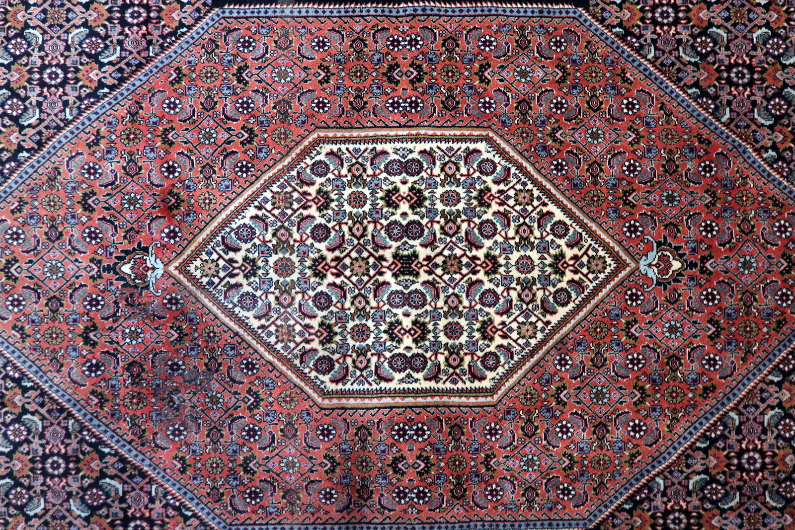 Authentic 1950s Persian Bidjar rug, known as an "iron rug," with a deep red and navy color palette, multicolored accents, and a natural aged patina that enhances its vintage character.

