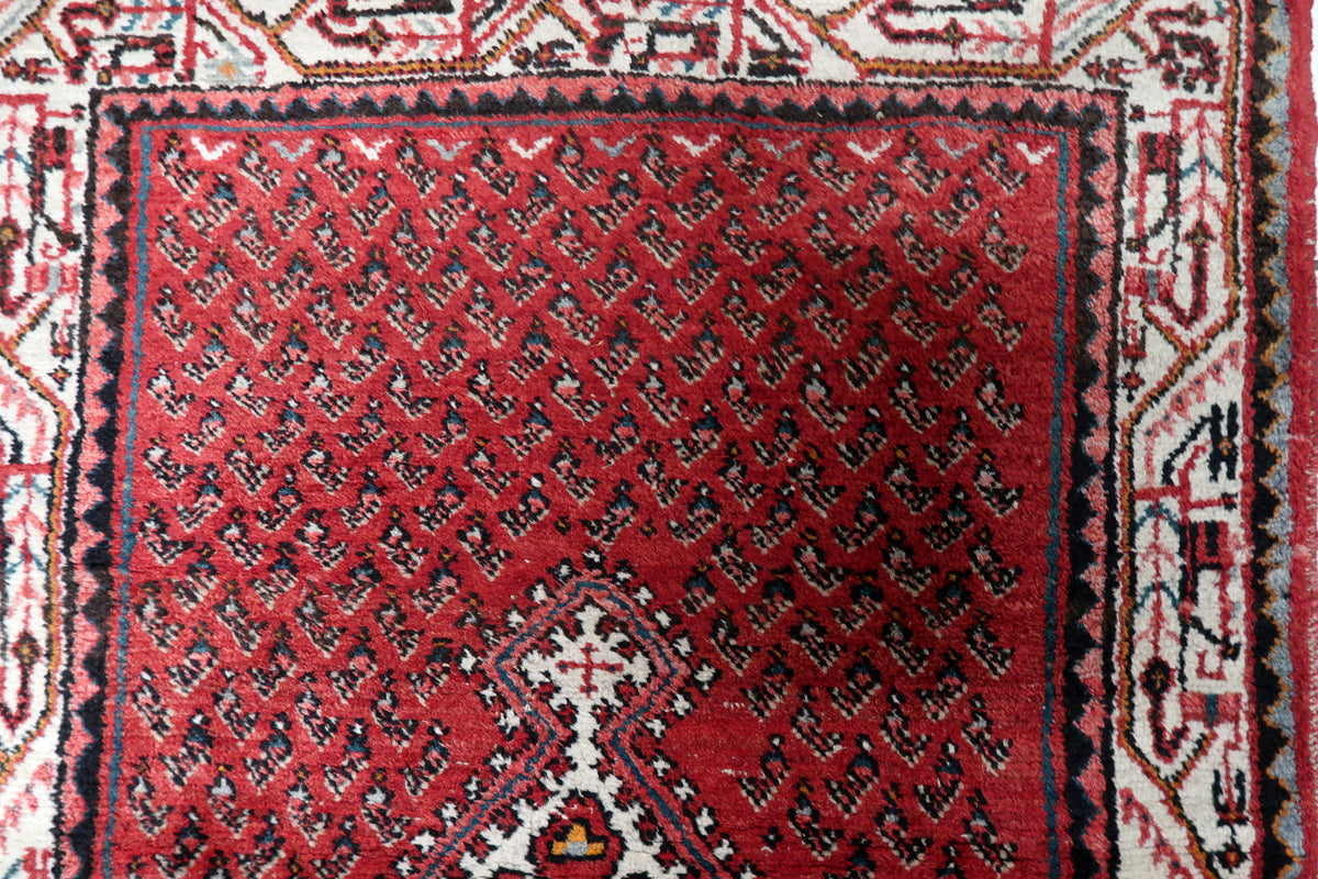 Multi-band framing border with repeating floral rosettes, classic guard bands, and geometric vine motifs on a 1950s wool rug.