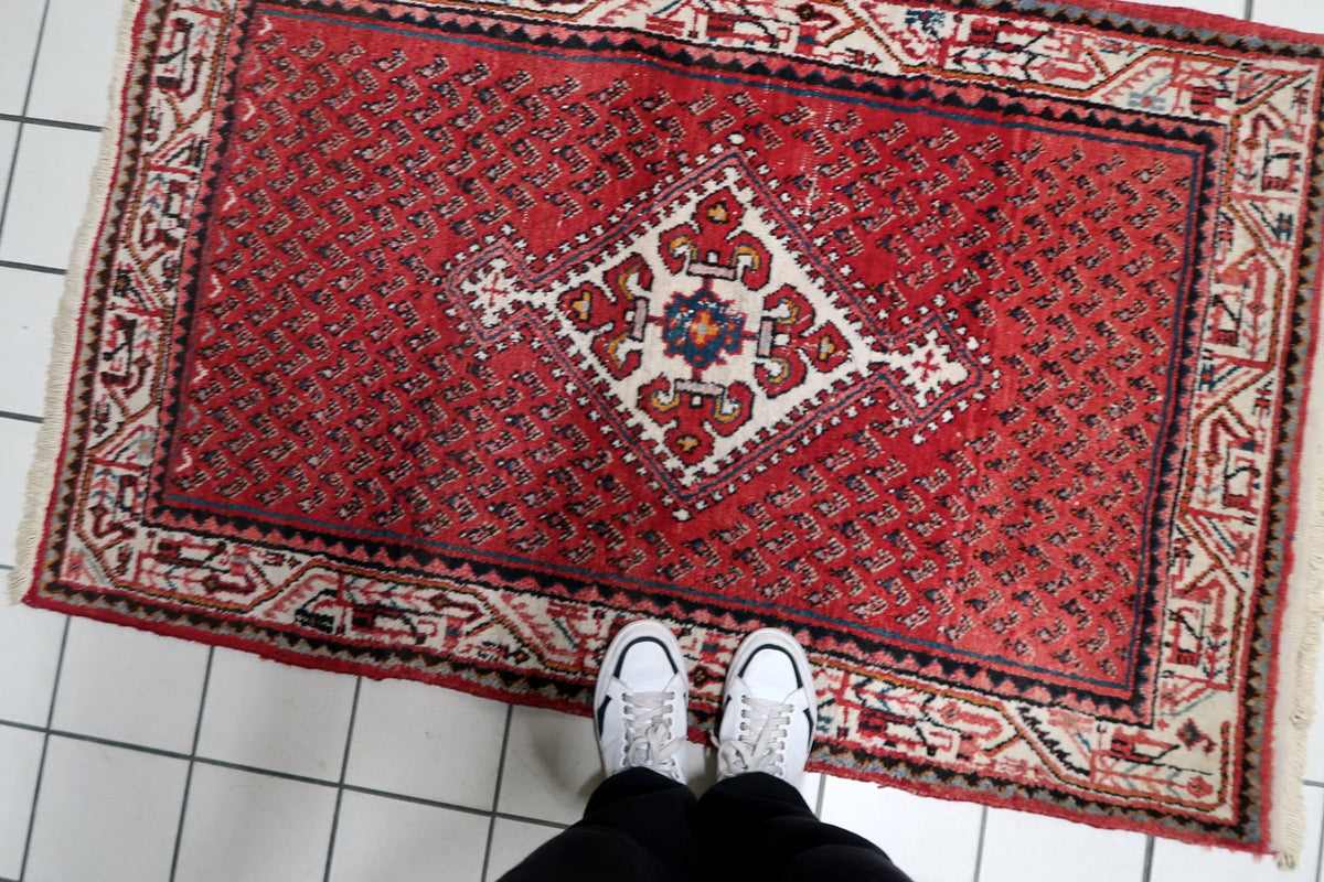 Classical corner spandrels and ornamental botanical elements framing the central red interior of a hand-knotted Indian carpet.