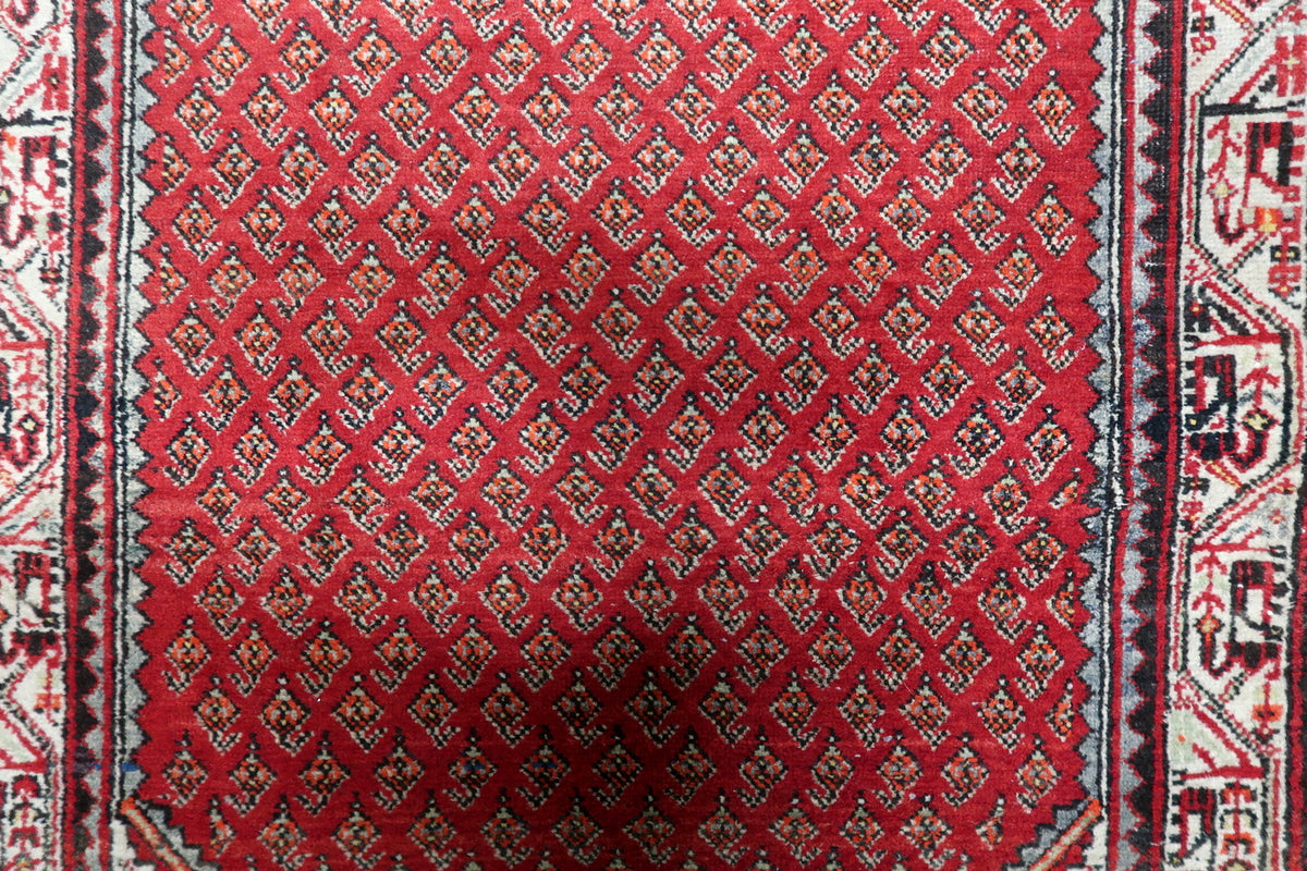 Multi-band framing border with repeating floral rosettes, classic guard bands, and geometric vine motifs on a 1950s wool rug.