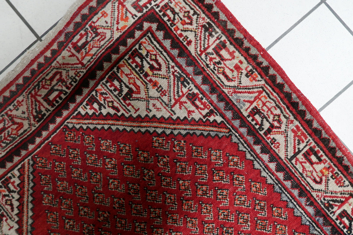 Classical corner spandrels and ornamental botanical elements framing the patterned red interior of a hand-knotted Indian carpet.