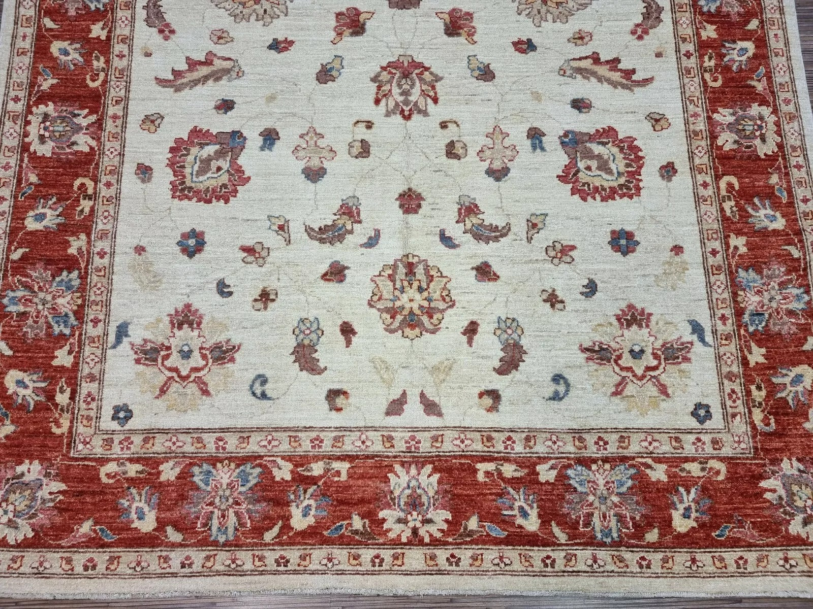 Elegant beige Afghan carpet with red border

