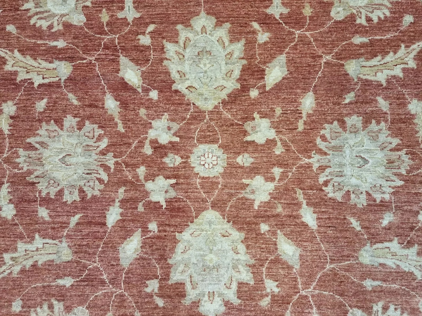 Full rug view showcasing balanced geometric composition

