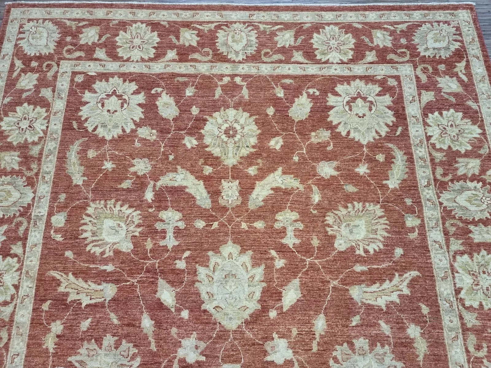 Contrast between terracotta field and ivory motifs

