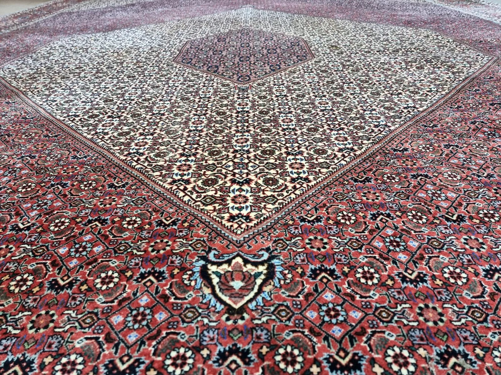 Detail of the border on a 1970s Persian Bidjar carpet, revealing repeated floral and vine motifs in navy, ivory, and gold against a rich red ground, with elegant symmetry and fine wool texture.

