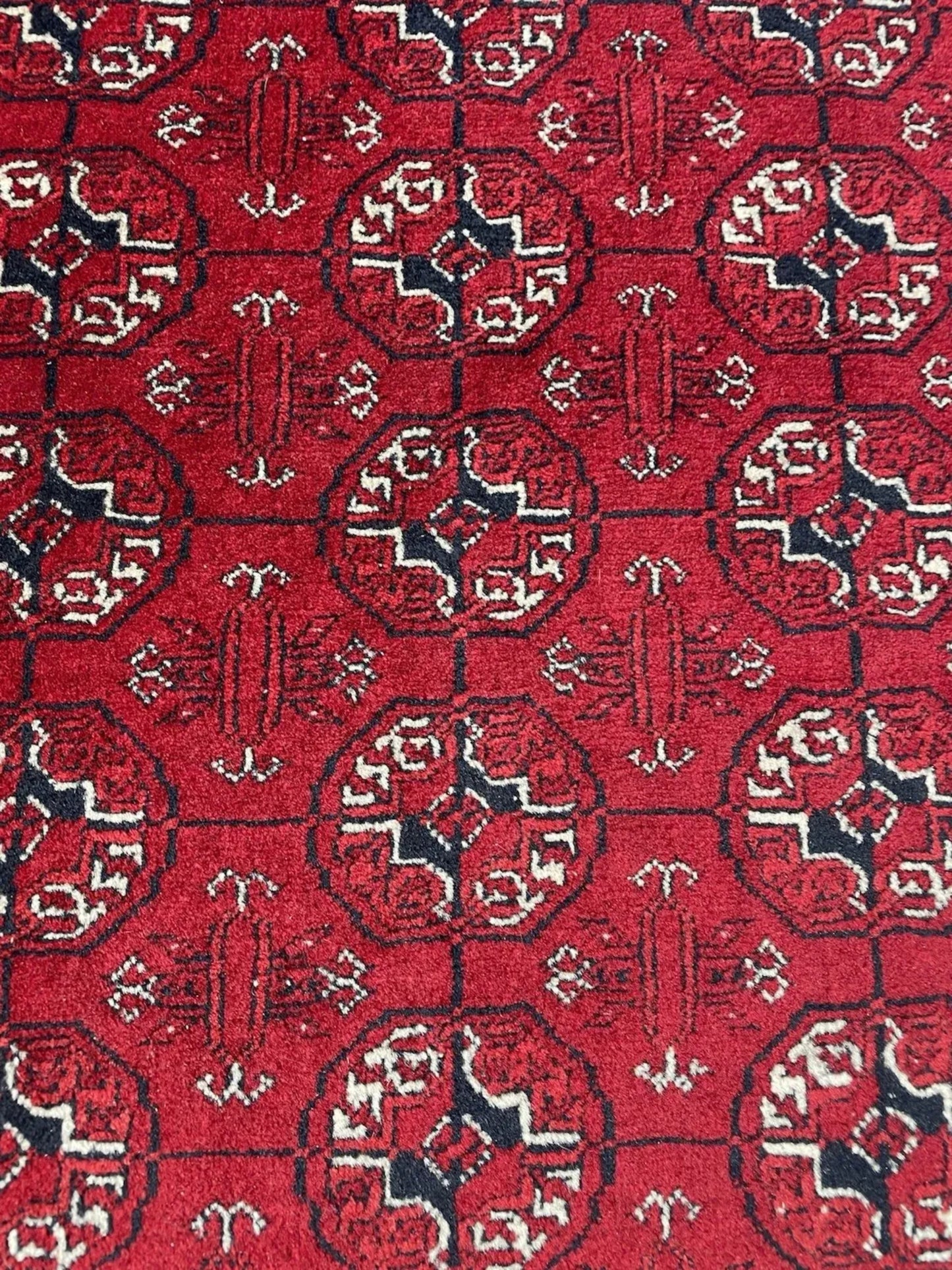 Full runner view showing elongated composition

