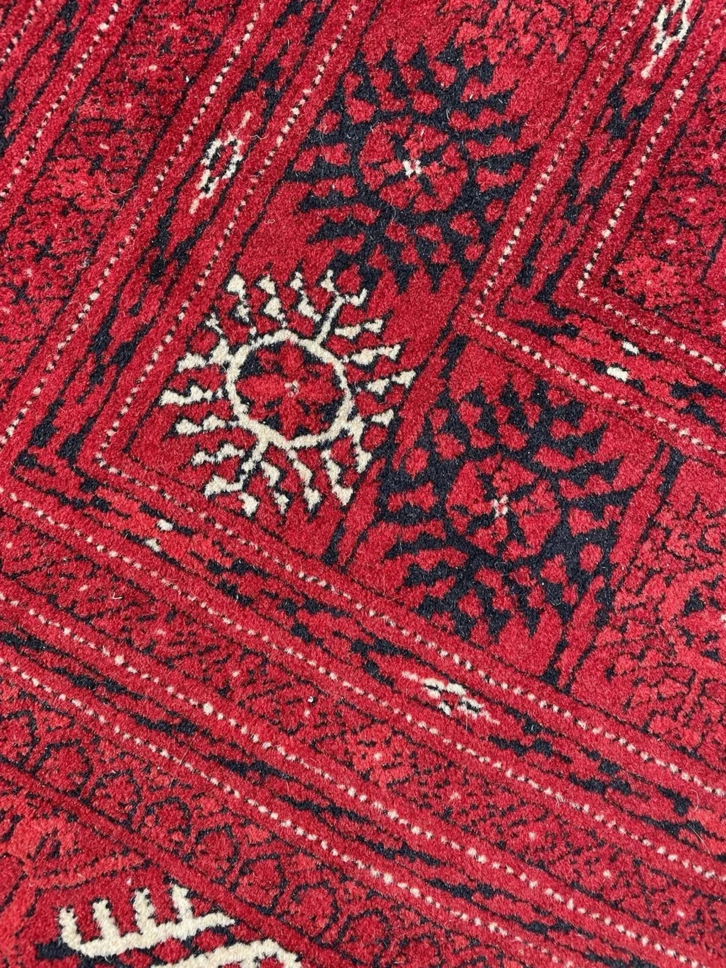 Multiple guls creating rhythmic progression

