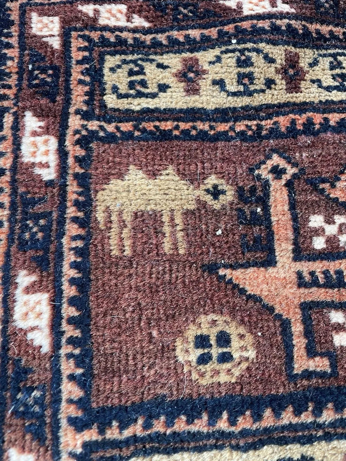 Intricate geometric borders and central band details on a handmade 1920s Afghan Baluch rug with strong contrast and rhythmic patterns.

