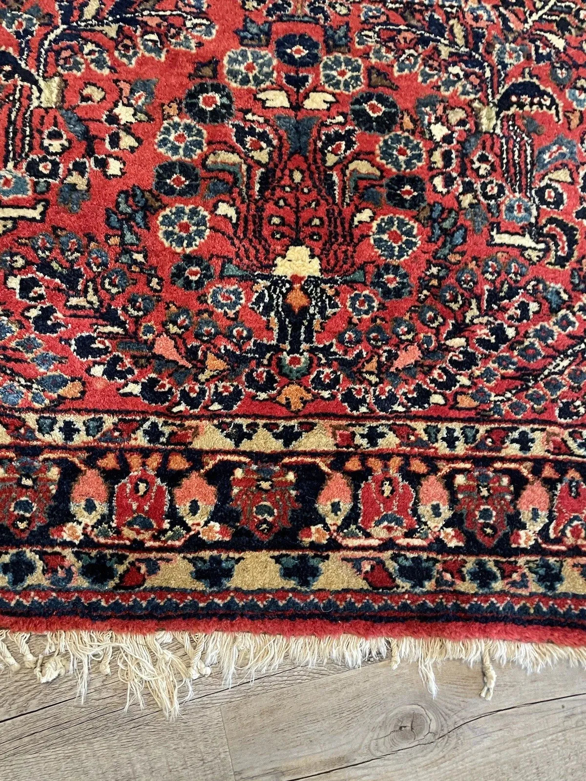 Antique Sarouk wool rug measuring 6'6" x 4'4" with a jewel-toned crimson background, midnight navy border, and natural ivory fringe.

