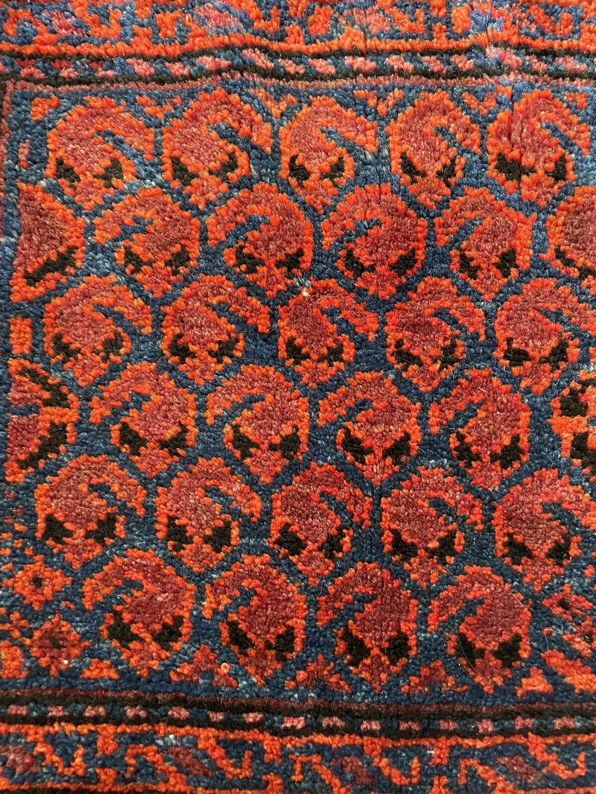 Geometric Borders: A close-up of the intricate geometric borders adorning the Shiraz bagface (1900s), showcasing the precision and artistry of the Shiraz weavers.