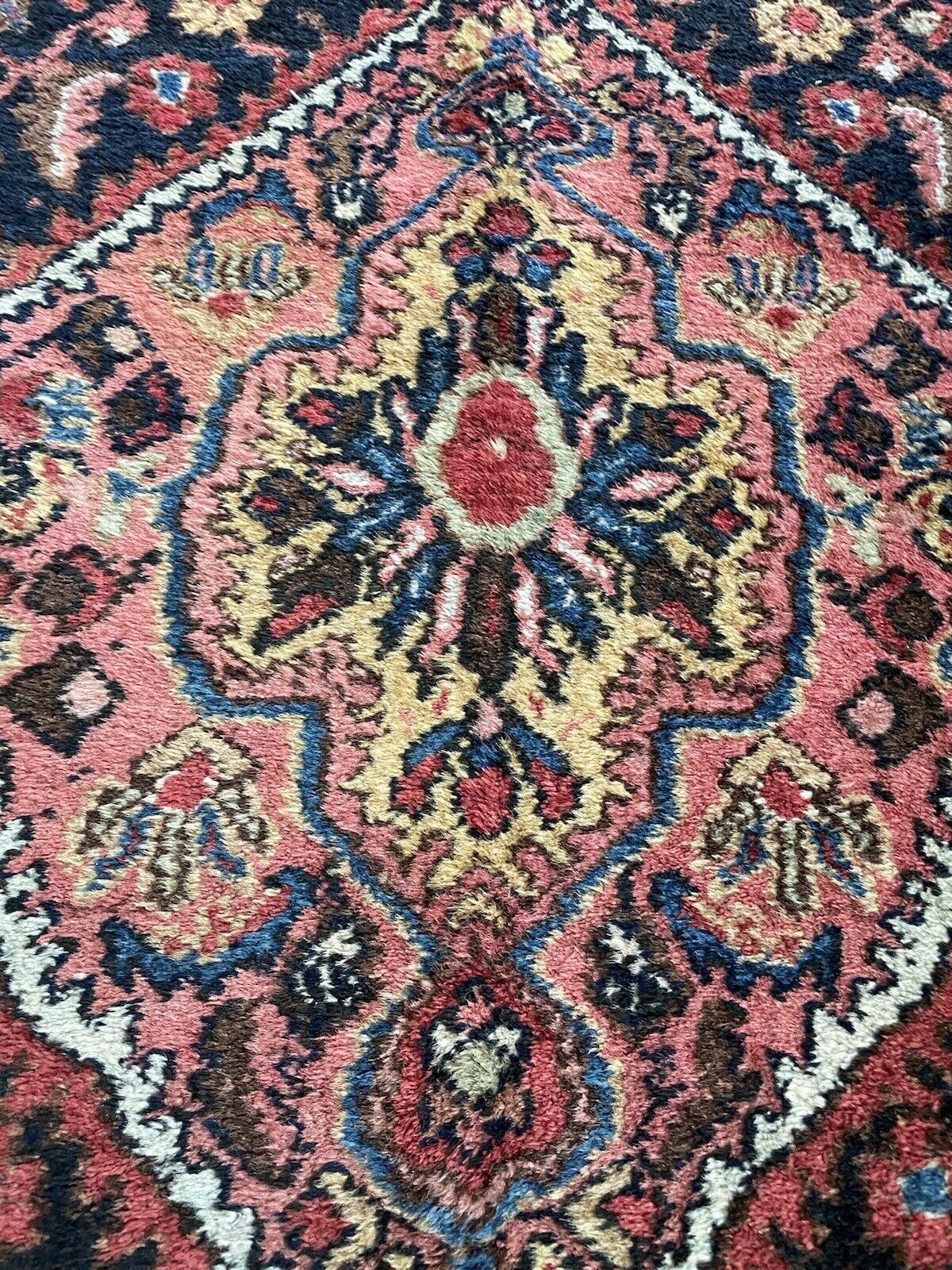 Close-up of hand-knotted Persian Bidjar rug’s detailed patterns
