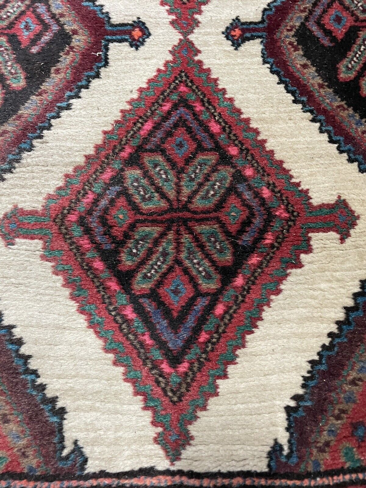 Hamadan runner with harmonious geometric and floral patterns
