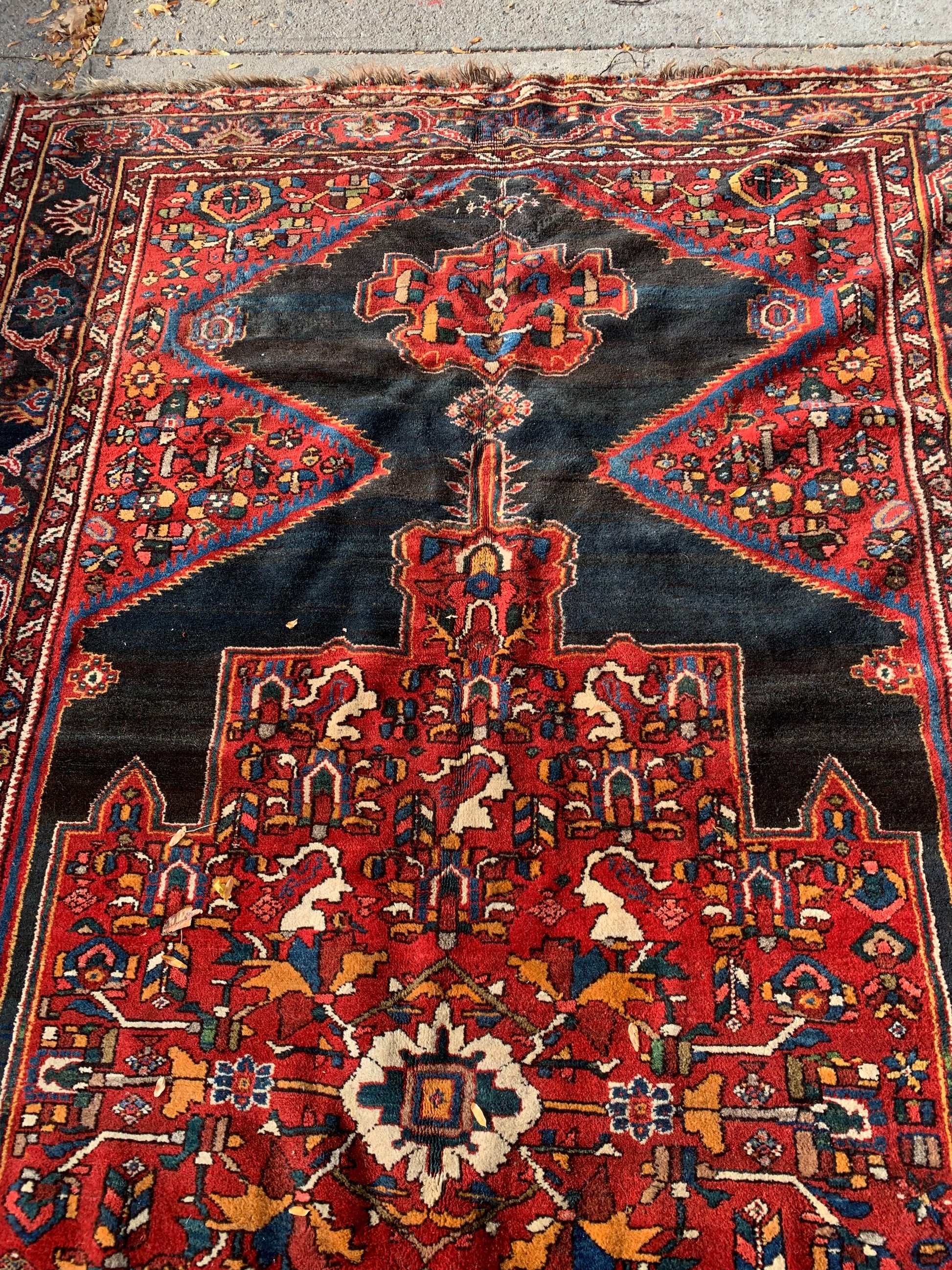 Detailed floral and geometric border designs on a Persian Luri rug.
