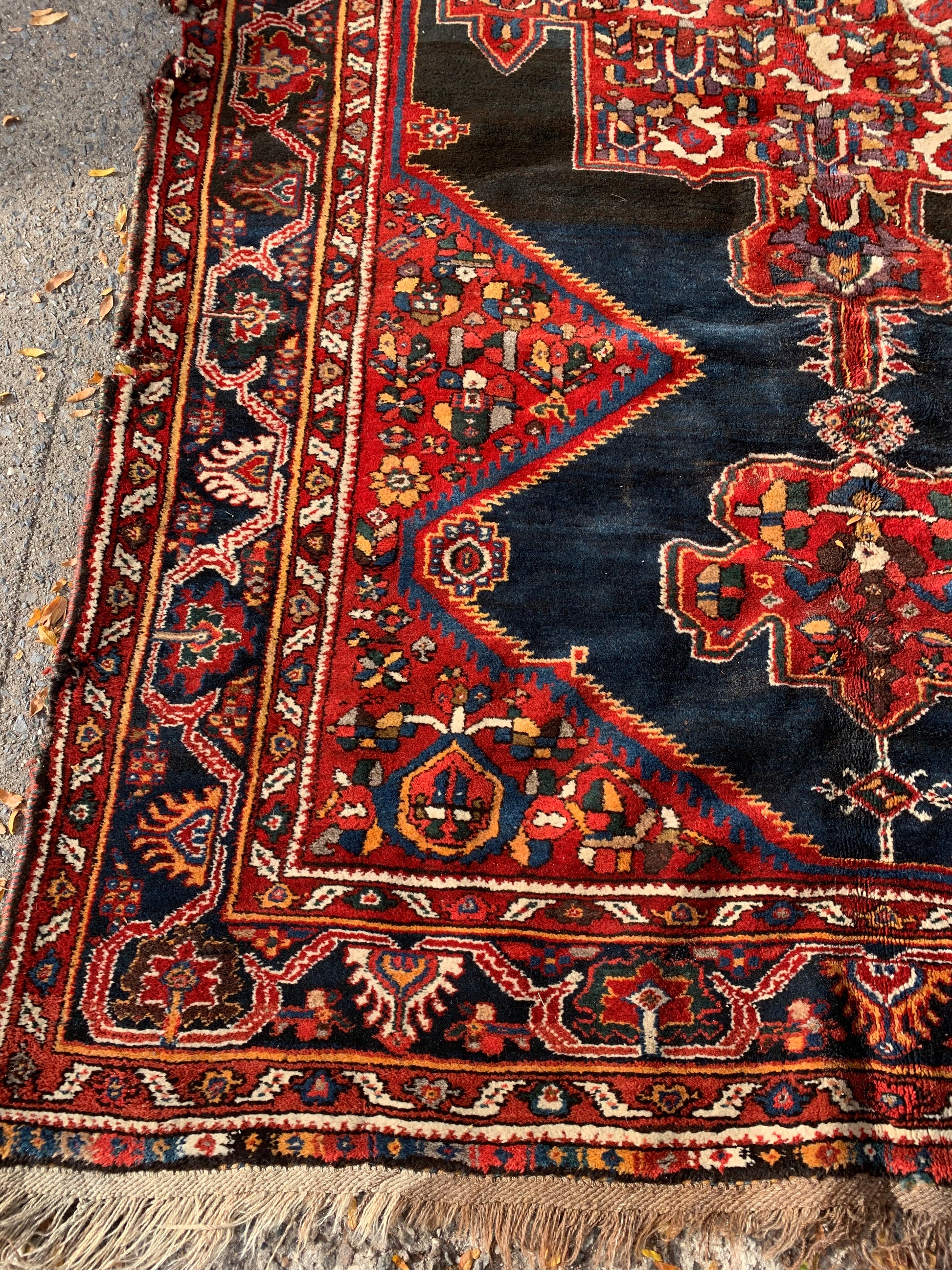 Persian Luri rug with warm earth tones and intricate motifs.
