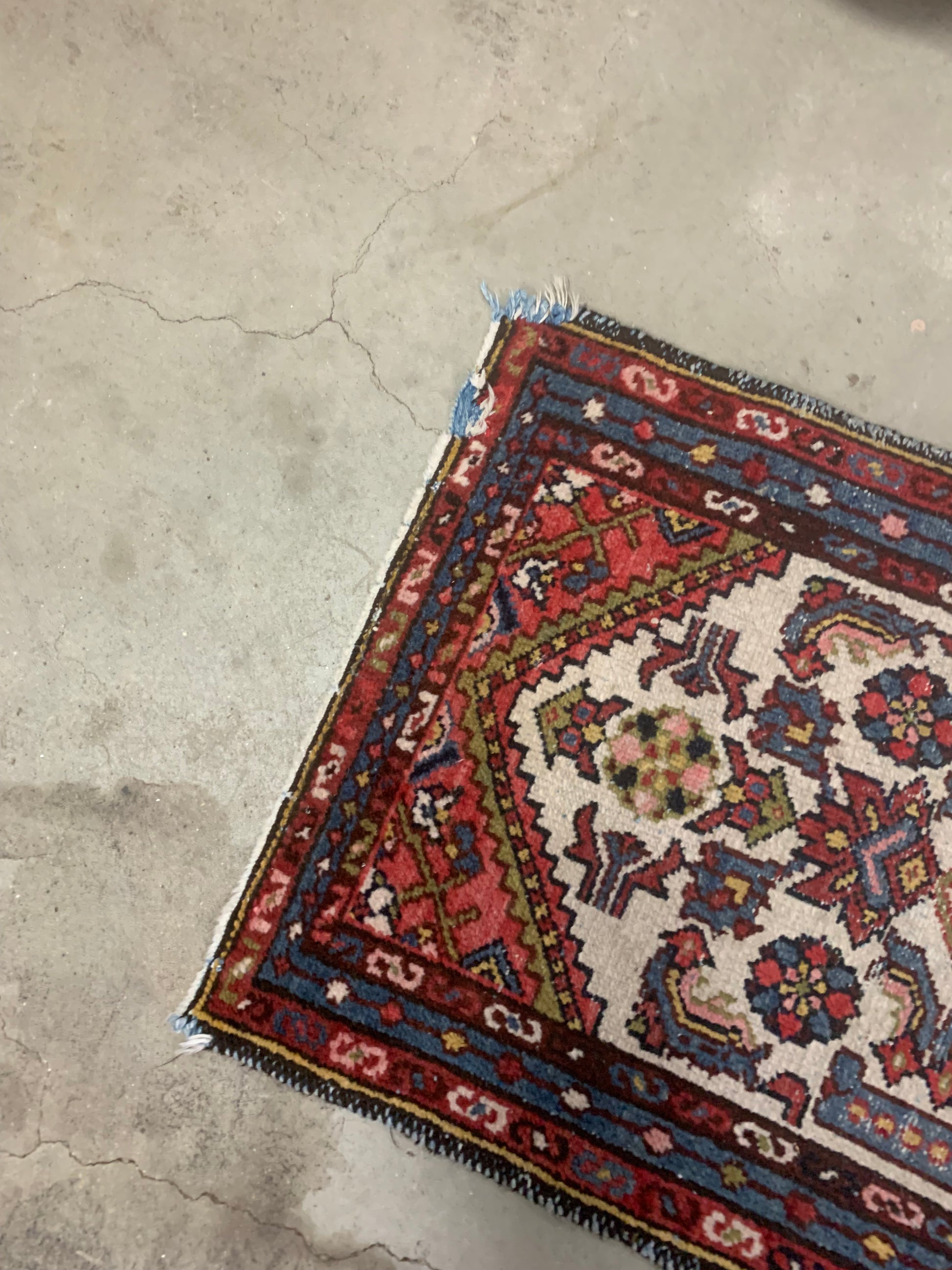 Floral and geometric patterns on a Persian Hamadan rug.
