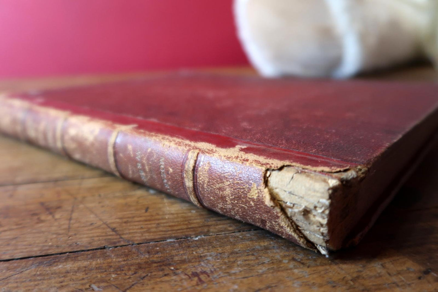 Side view displaying book thickness and binding structure

