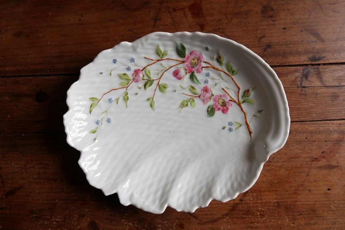 Overhead view of asymmetric floral branch across the white scalloped shell dish
