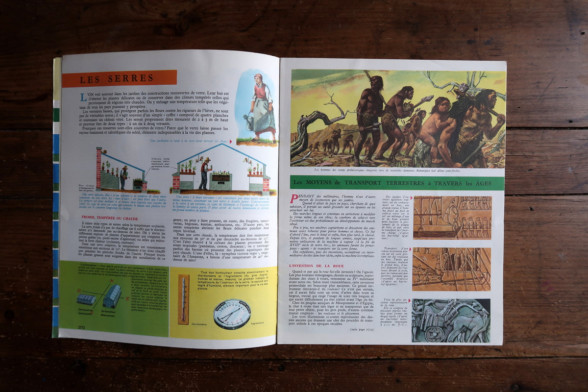 Les Serres greenhouse article beside illustrated history of land transport.