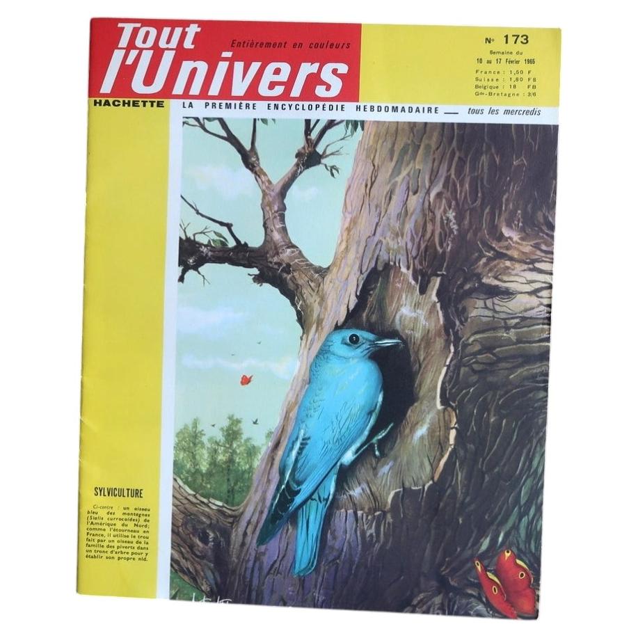 Tout l’Univers N°173 magazine cover with turquoise bird beside a tree hollow.
