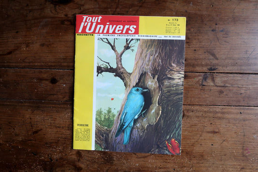 Full front cover of Tout l’Univers N°173 dated 10–17 February 1965.