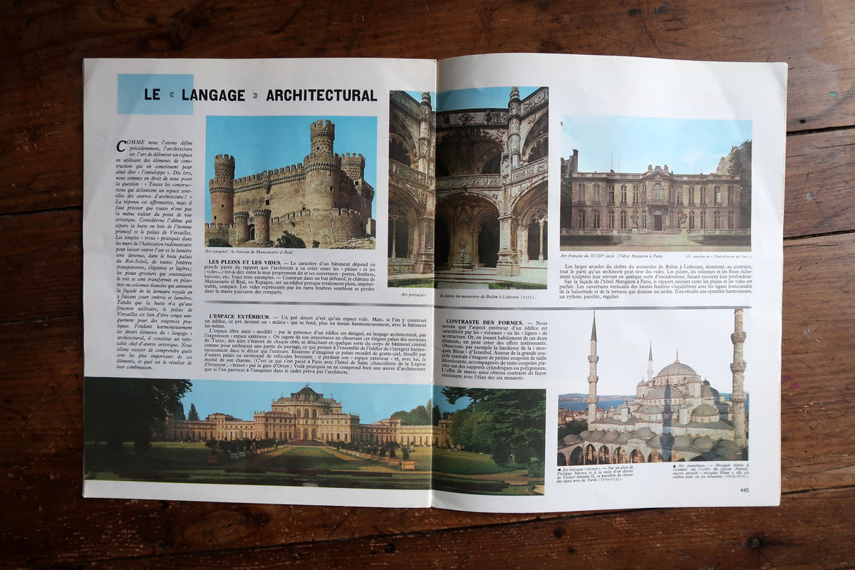 Branching insect diagram beside Musée Grévin photographs and French text.