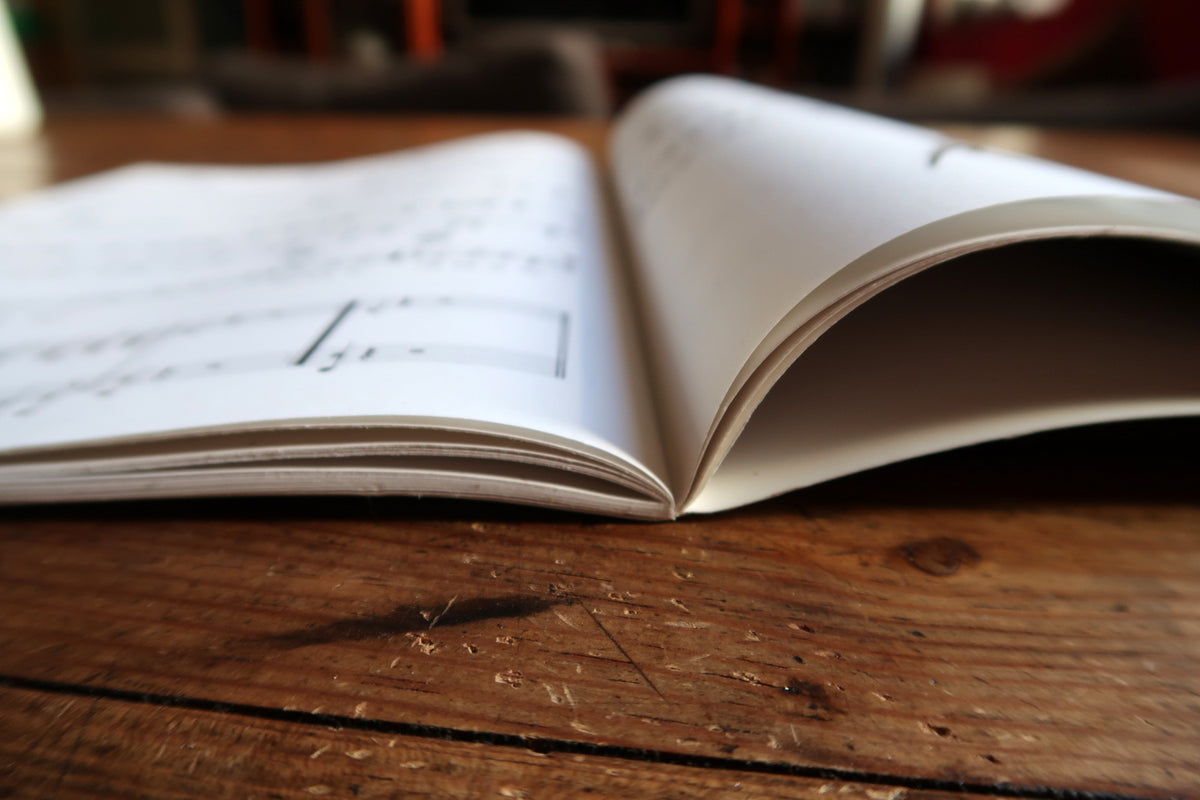 French introductory pages with black-and-white singer illustration and rhythmic instruction.