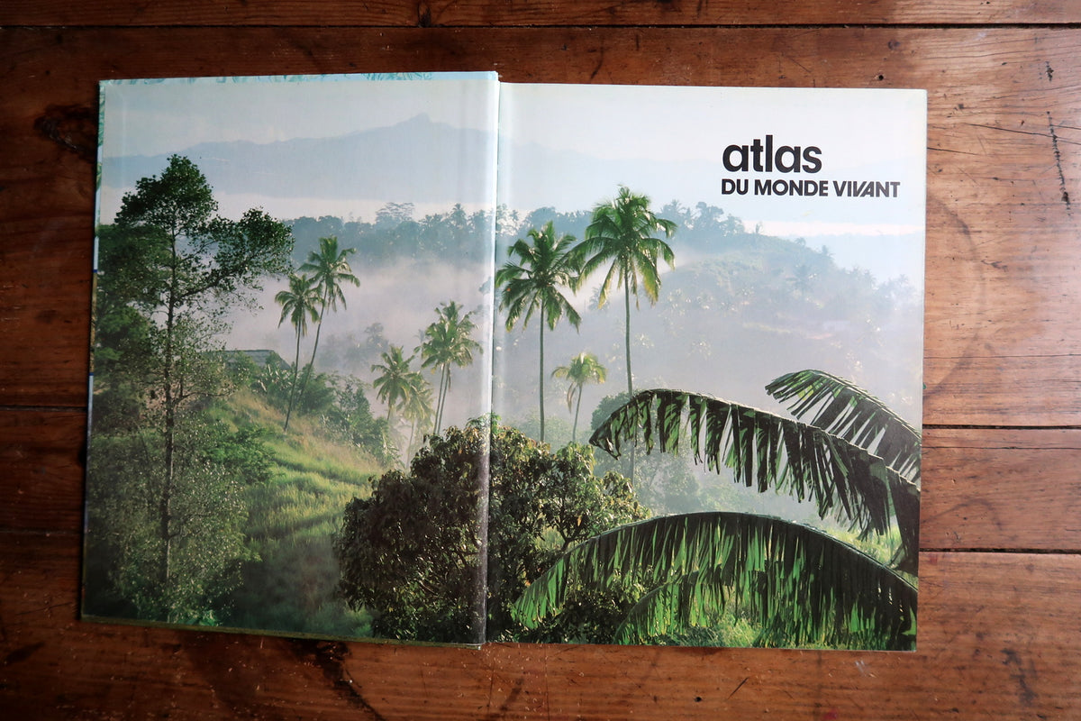 Close view of the open atlas showing the cracked binding and exposed blue spine material.