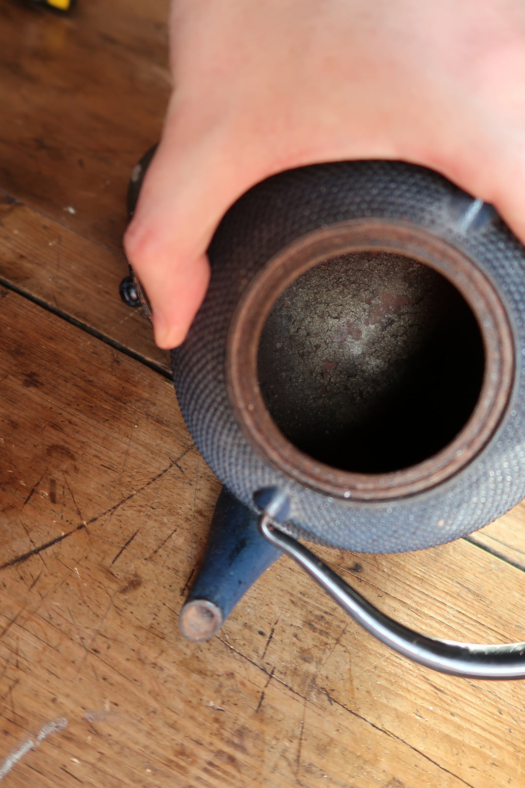 Cast iron tetsubin style teapot, textured exterior with traditional pattern