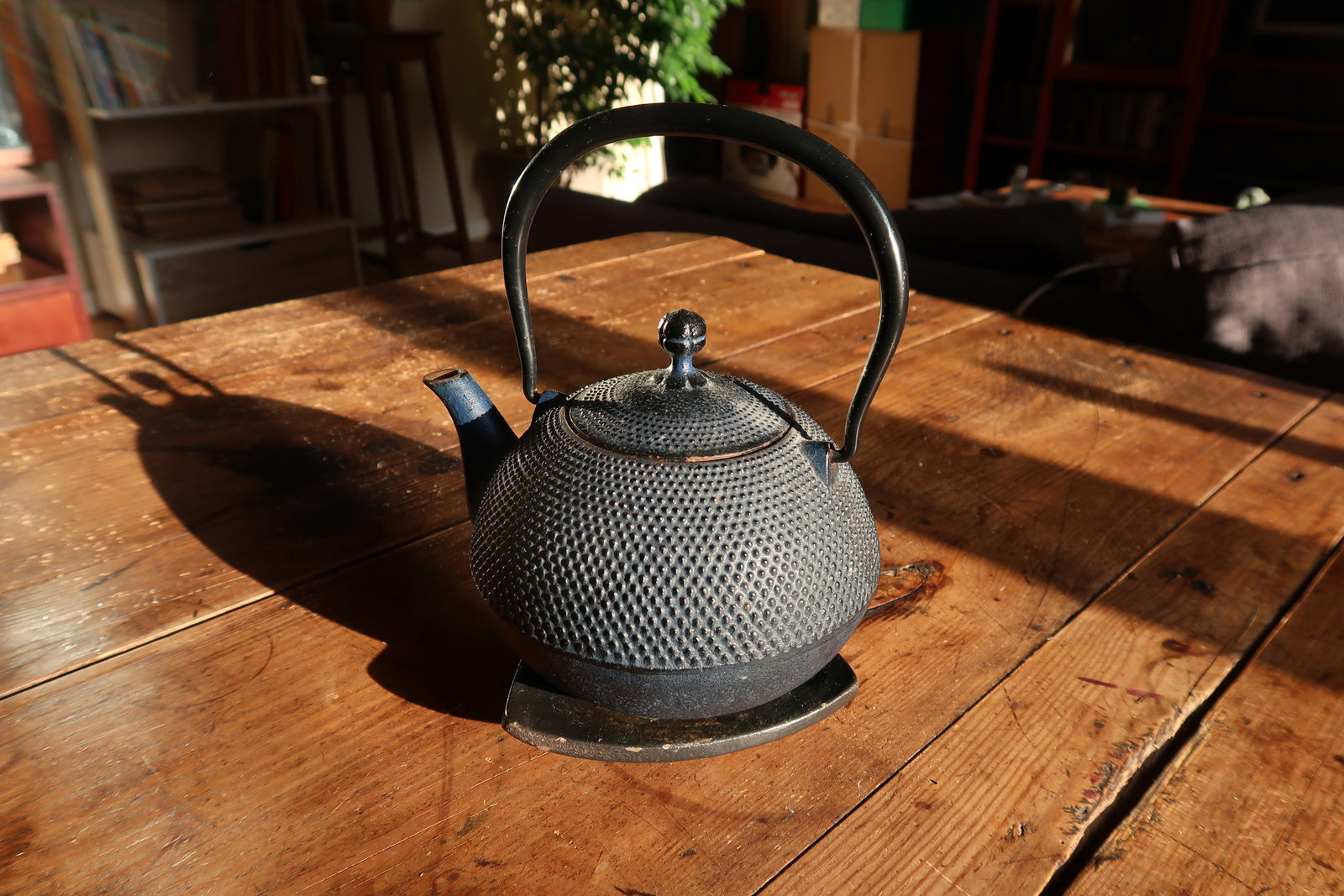 Tetsubin style iron teapot close-up, showing raised hobnail texture detail