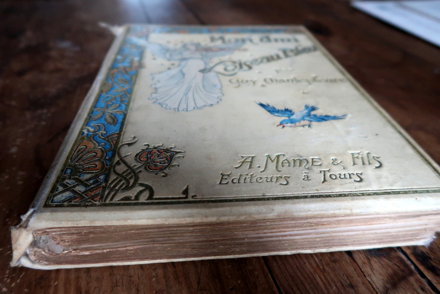 Antique French illustrated book spine detail, showing binding and title