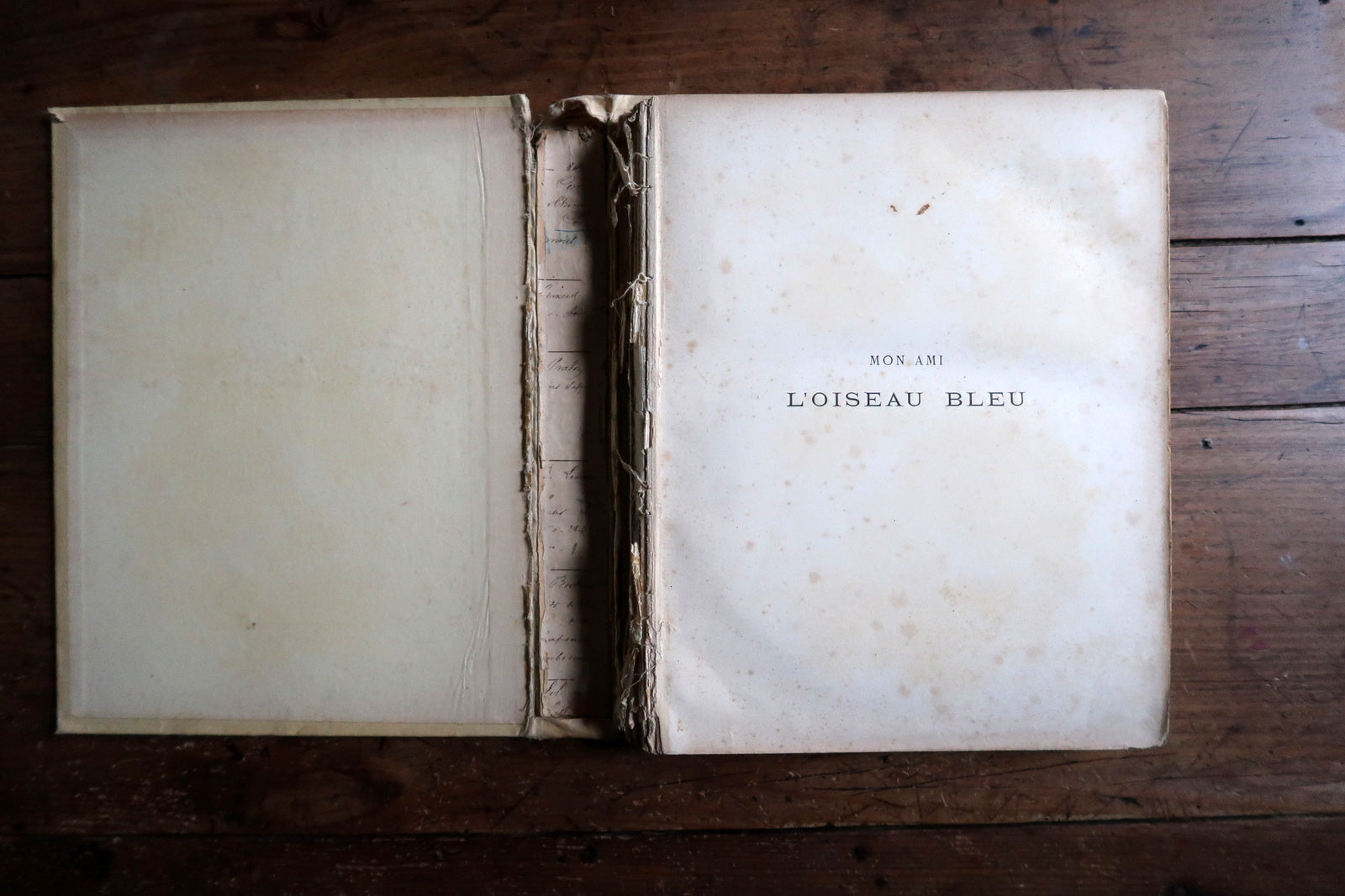 French illustrated book close-up, showing vintage print and aged paper texture