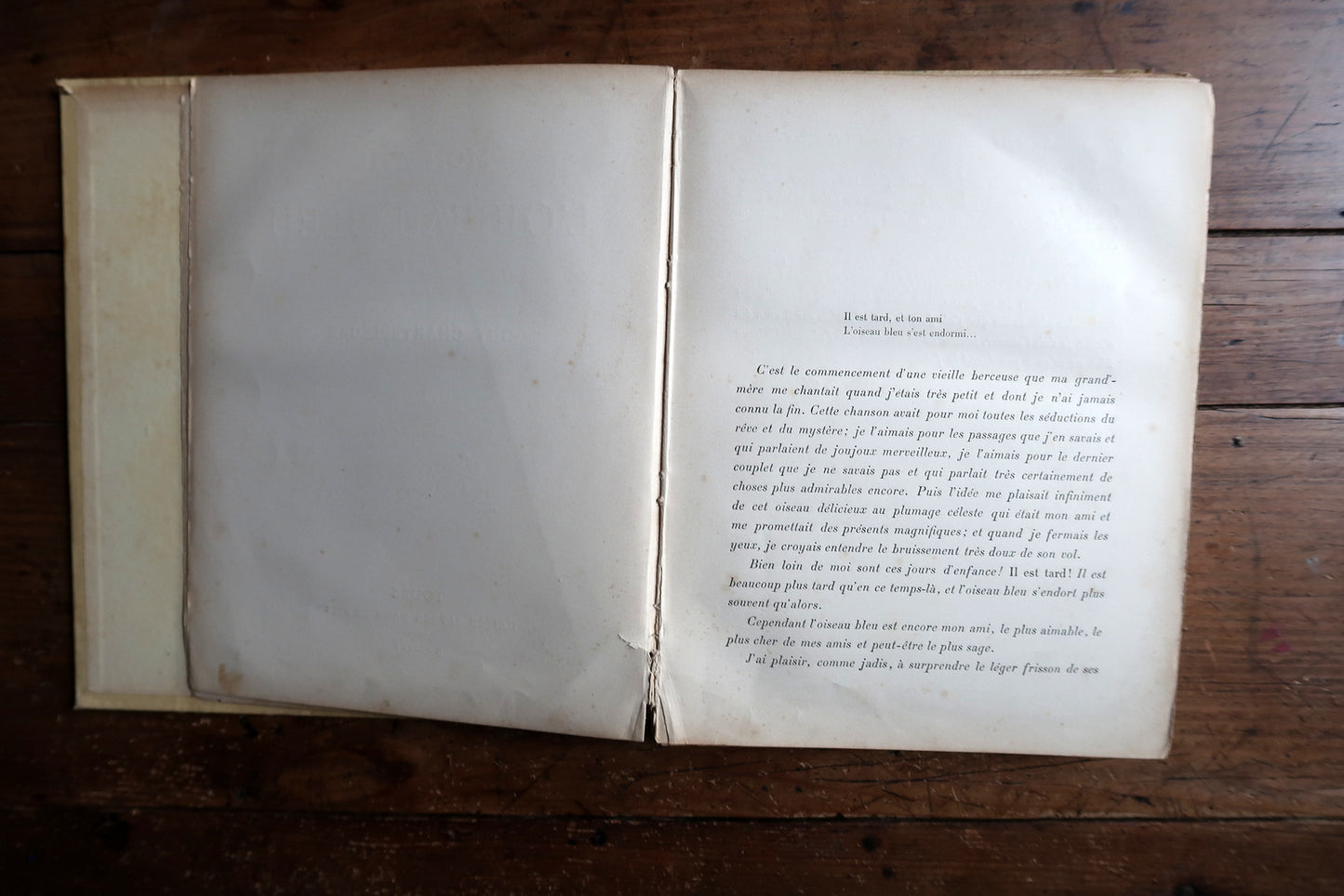 Vintage French book full view, Mon Ami l’Oiseau Bleu with decorative cover