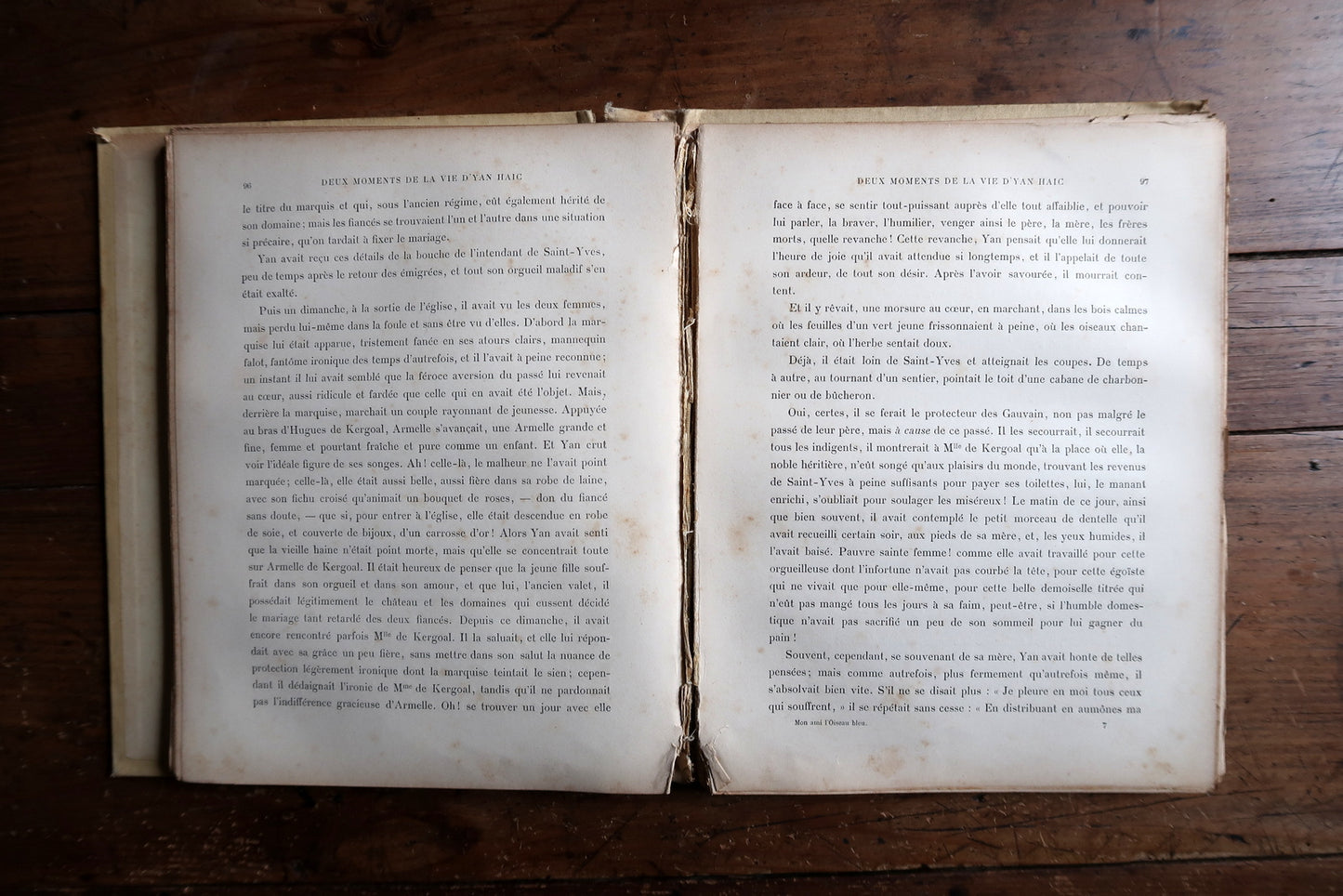 Antique French book back cover, showing binding and aged patina