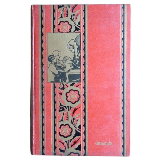 Antique French illustrated book Aventures de deux écoliers 1925 hardcover