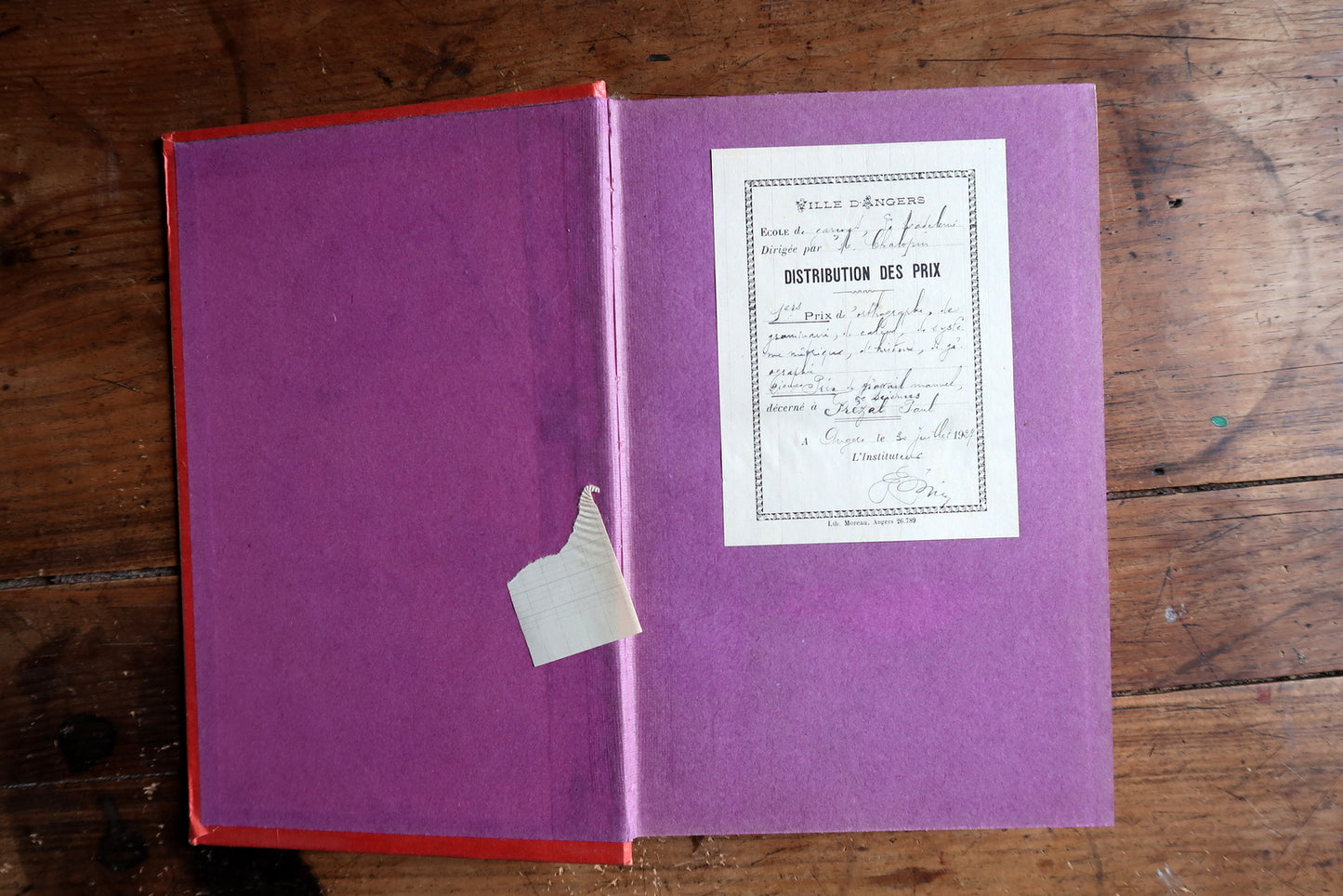 French illustrated book close-up, showing aged paper and vintage print texture