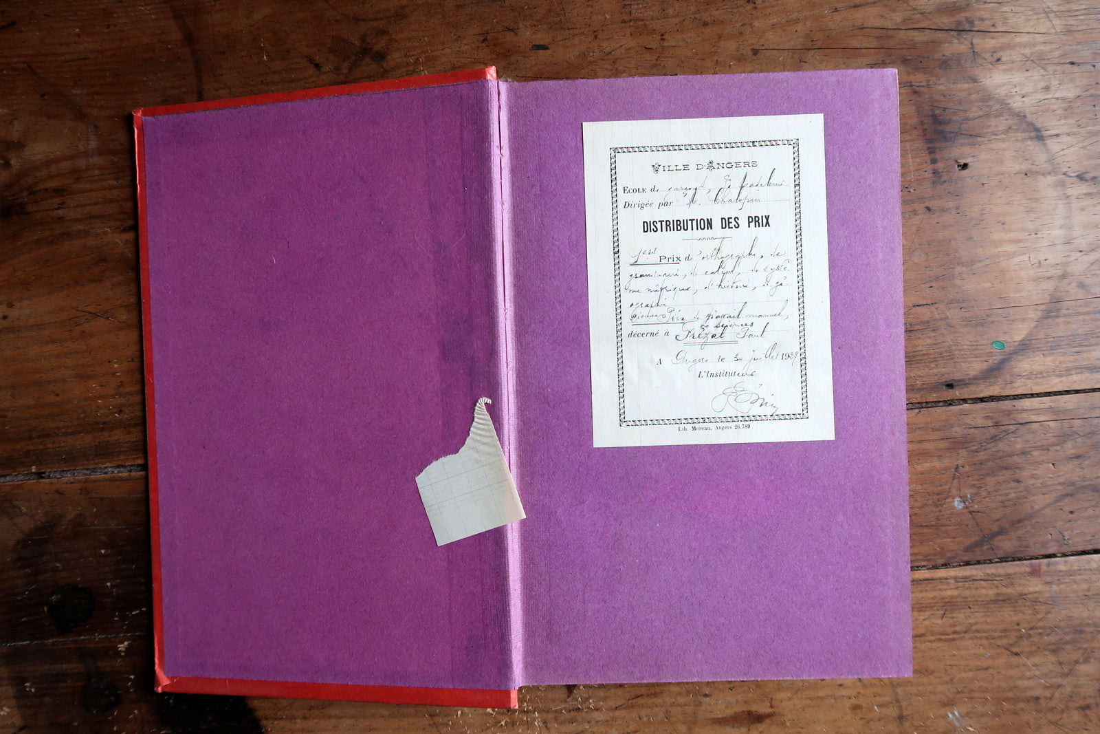 French illustrated book close-up, showing aged paper and vintage print texture