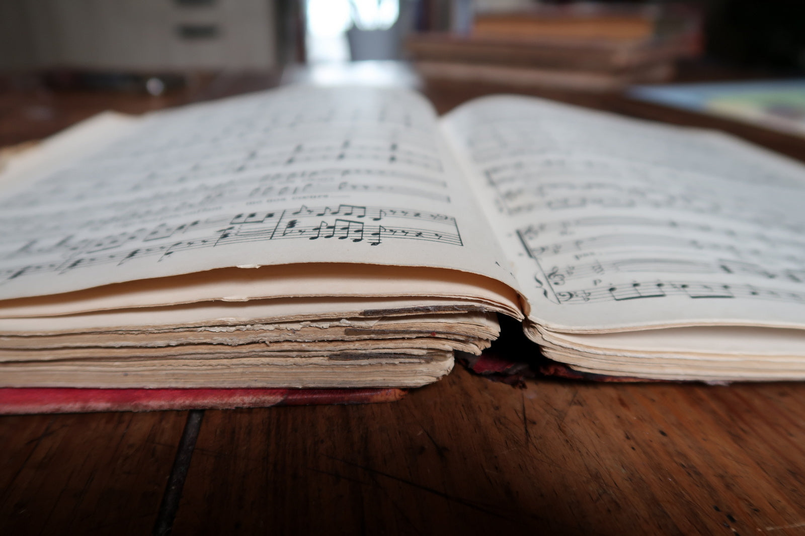 Antique music book back cover, showing binding and aged patina