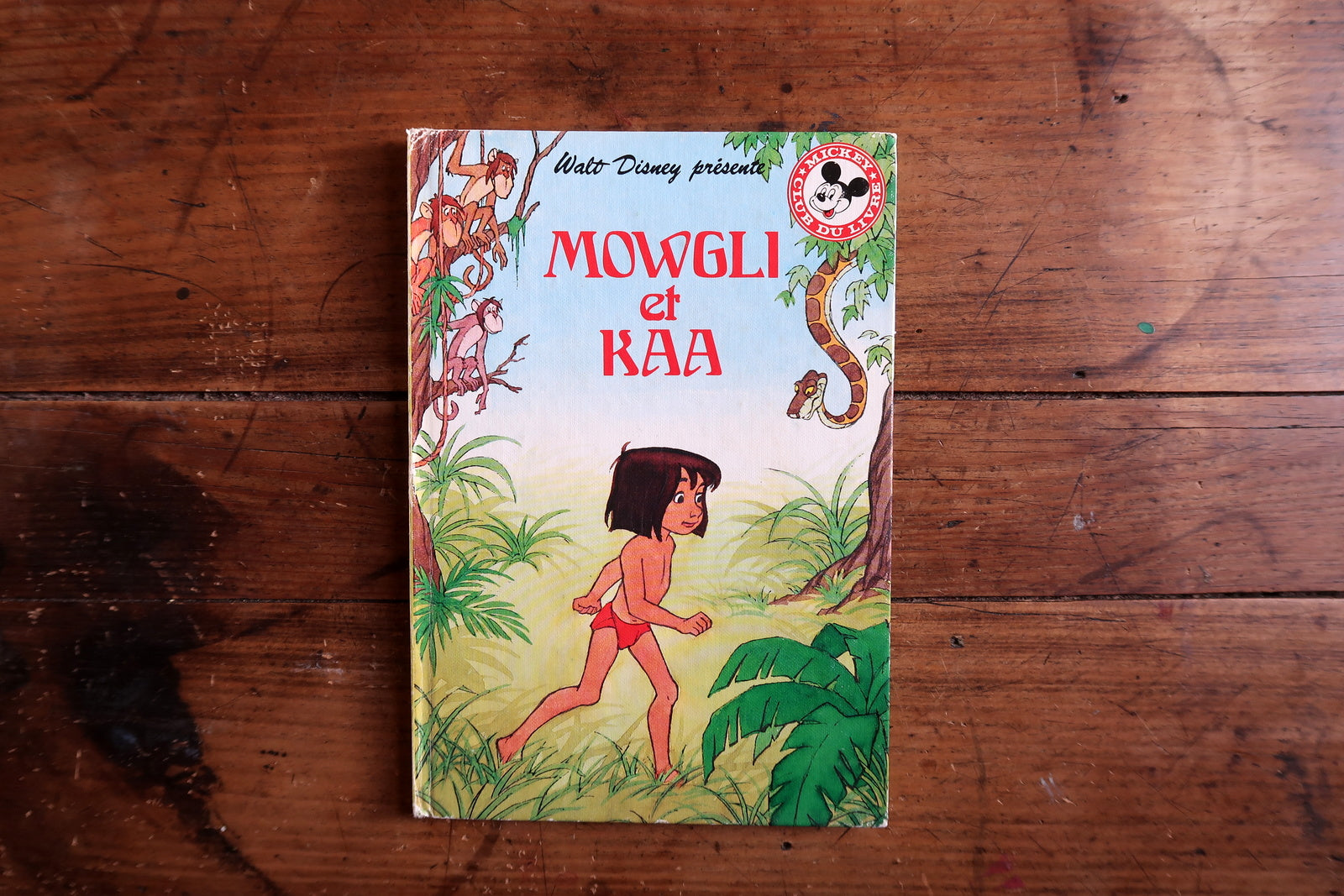 Disney Mowgli and Kaa book cover view, colorful Jungle Book illustration
