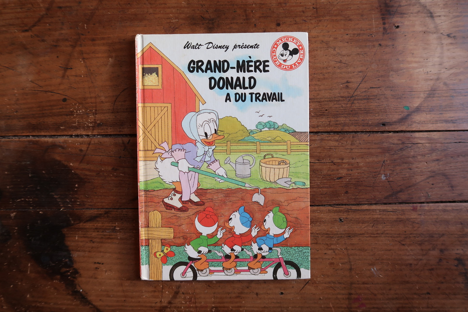 Vintage Disney children’s book close-up, Grandma Duck and countryside artwork