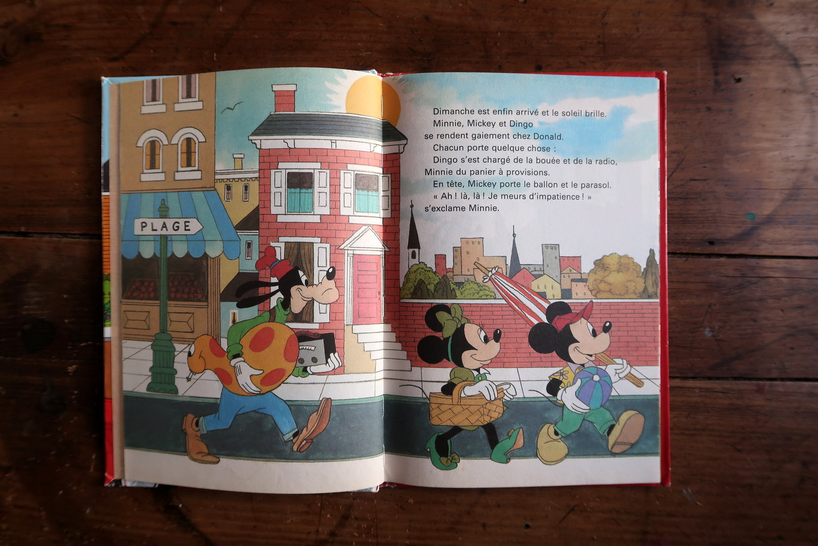 Disney Bon anniversaire Donald book cover view, colorful birthday scene illustration