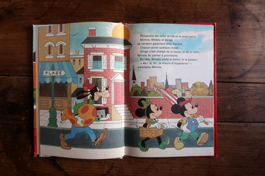 Disney Bon anniversaire Donald book cover view, colorful birthday scene illustration