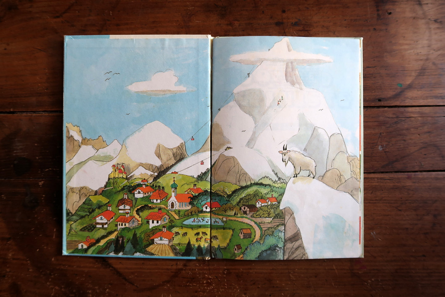 Complete view of vintage Disney hardcover book Donald Alpiniste published in Paris 1980, featuring alpine theme with mountain cover art and action composition.

