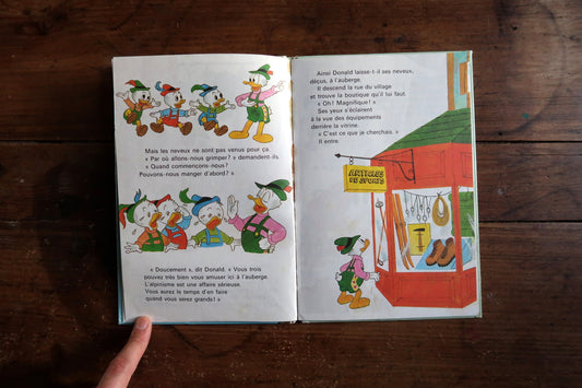 Front cover close-up of vintage 1980 Disney book Donald Alpiniste featuring Donald Duck, his nephews, and Goofy on a snowy alpine adventure with colorful illustrations.

